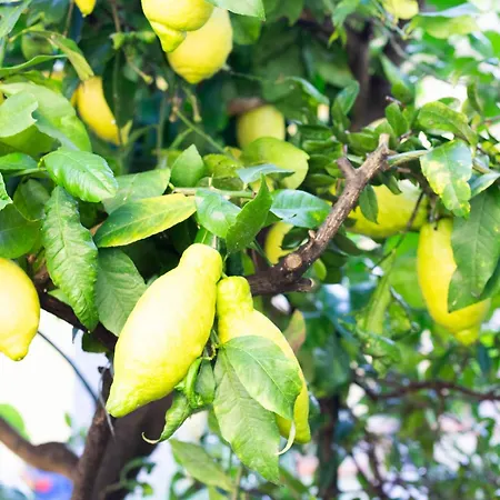 Apartamento Casa Margherita *