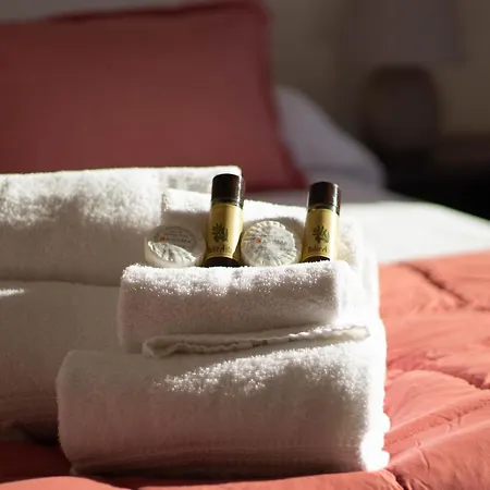 Casa Margherita 公寓 拉帕洛