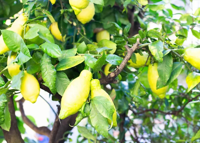 Apartman Casa Margherita *